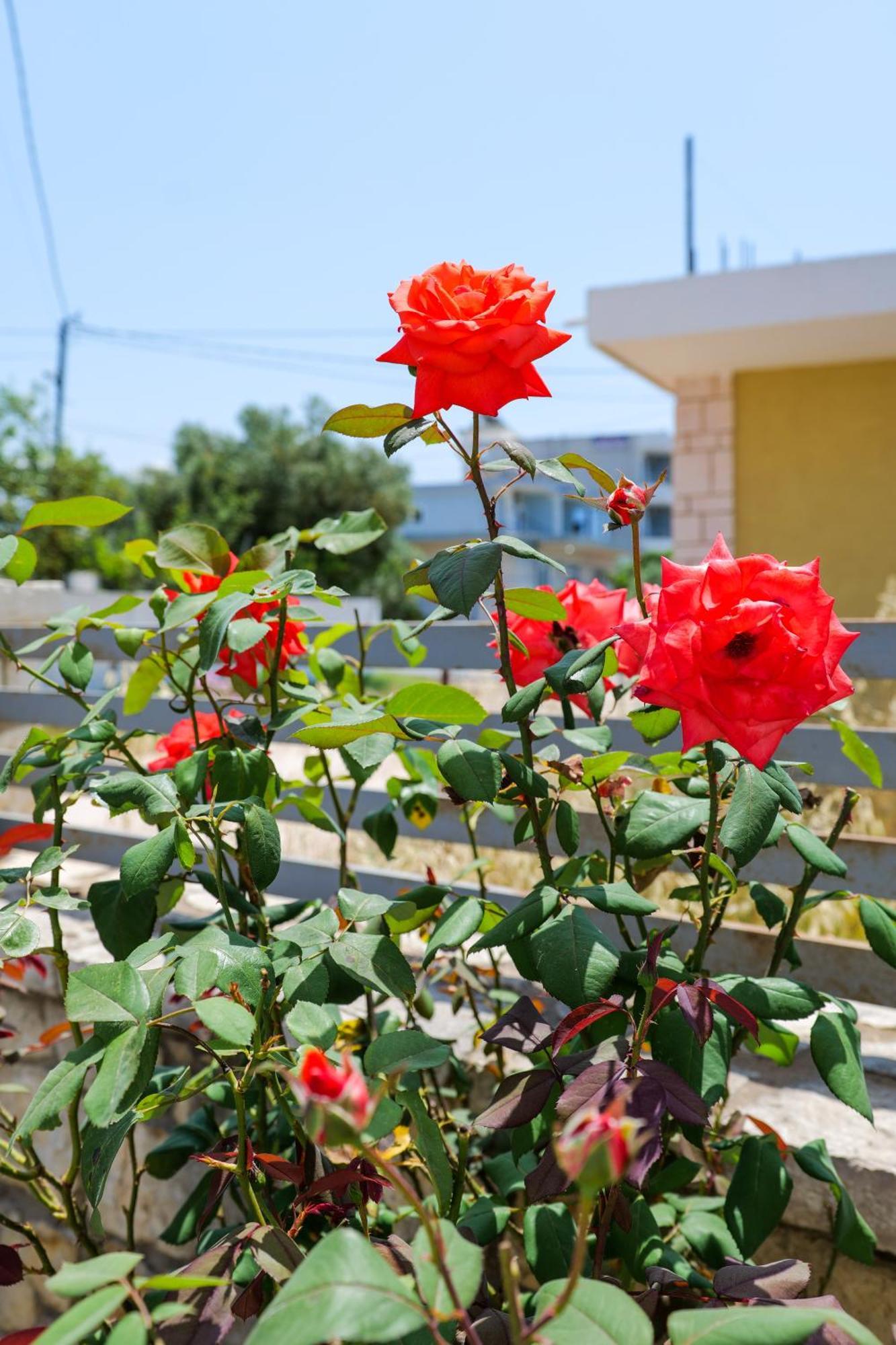 Vila Leka Ksamil Esterno foto
